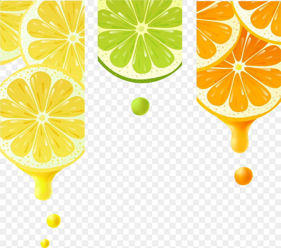 Vector Splashes Lemon Rangpur, Citrus Fruit, Food, Fruit, Lime Free Transparent Png