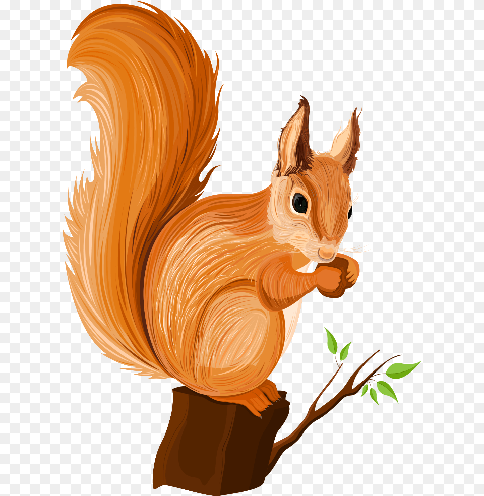 Vector Squirrel Chipmunk Squirrel Cartoon, Animal, Mammal, Rodent Png