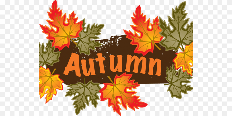 Vector Stock Autumn Clipart Clip Art Fall Season, Leaf, Plant, Tree, Maple Png