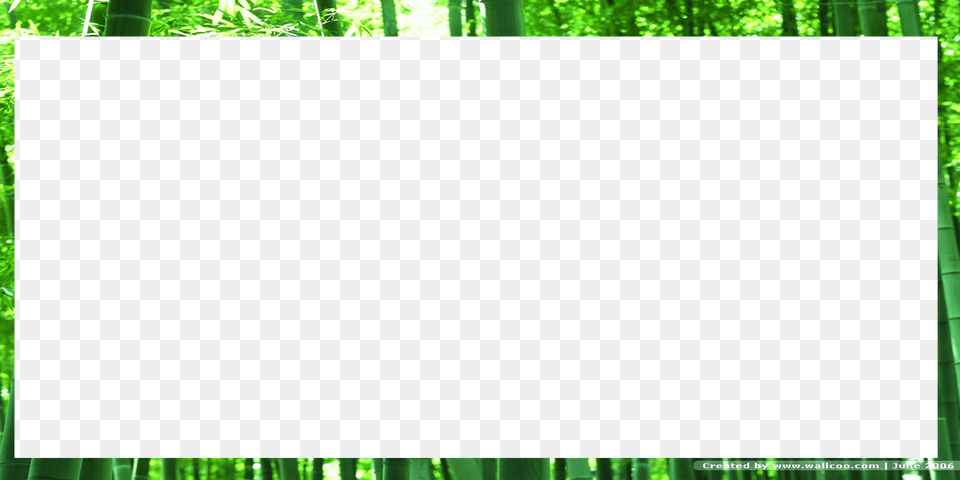 Vector Stock Bamboo Frame Borders Free Png