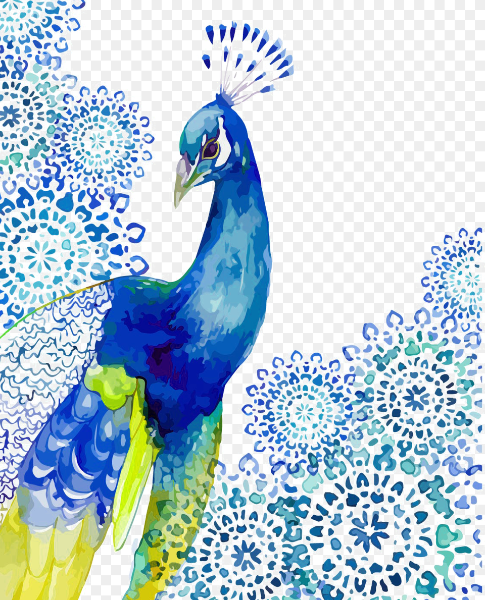 Vector Stock Drawing Peacocks Watercolor, Animal, Bird, Peacock Png Image