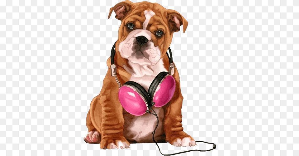 Vector Stock Imageedit Cute And Picture Perritos Tiernos, Animal, Boxer, Bulldog, Canine Png Image