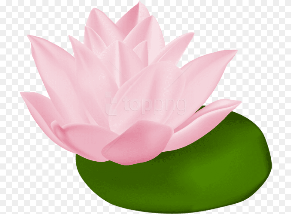 Vector Stock Lily Pad Flower Clipart Clipart Lily Pad Flower, Plant, Pond Lily, Petal Free Transparent Png