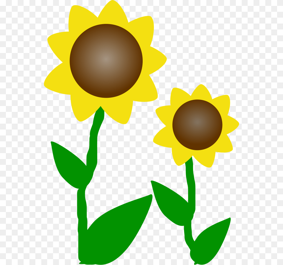 Vector Sun, Flower, Sunflower, Plant, Daisy Free Png Download