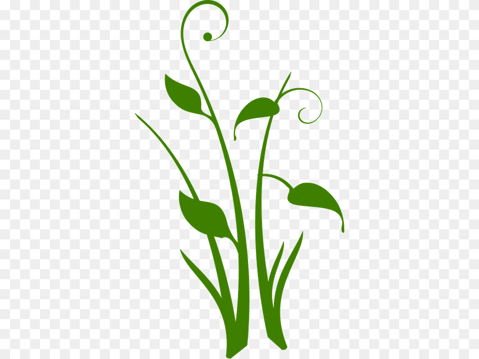 Vector Swirl Clipart Plant, Pattern, Art, Floral Design, Graphics Free Png