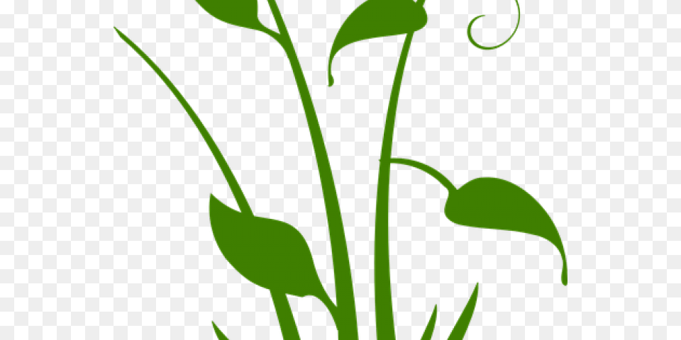 Vector Swirl Clipart Plant Black Flower Silhouette Transparent, Art, Floral Design, Pattern, Graphics Png