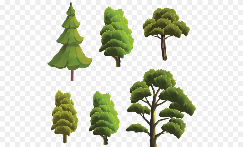 Vector Terreno, Green, Plant, Tree, Conifer Png Image