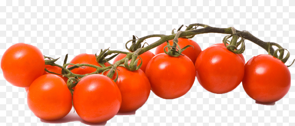 Vector Tomatoes, Food, Plant, Produce, Tomato Png