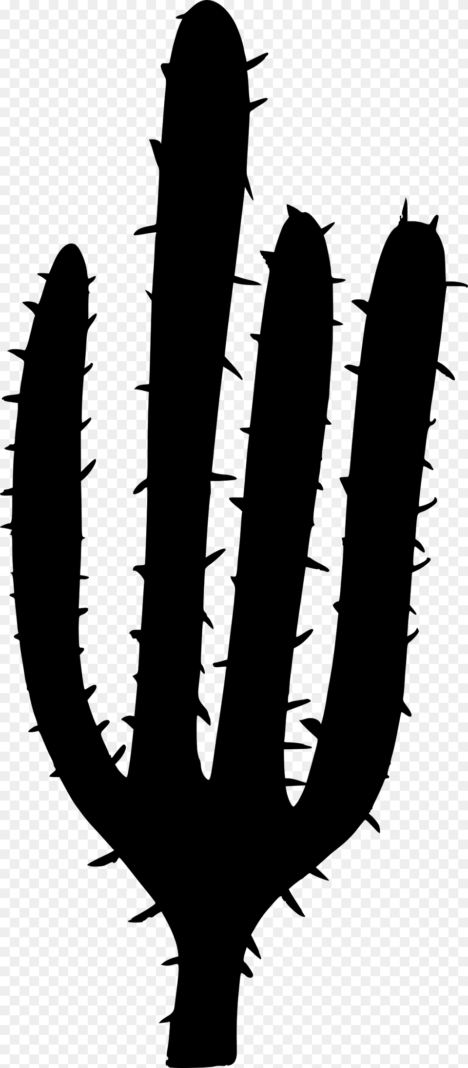 Vector Cactus Silhouette, Gray Free Transparent Png