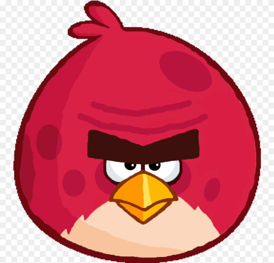 Vector Transparent Download Coach Draw Angry Birds Terence, Cap, Clothing, Hat, Bag Png