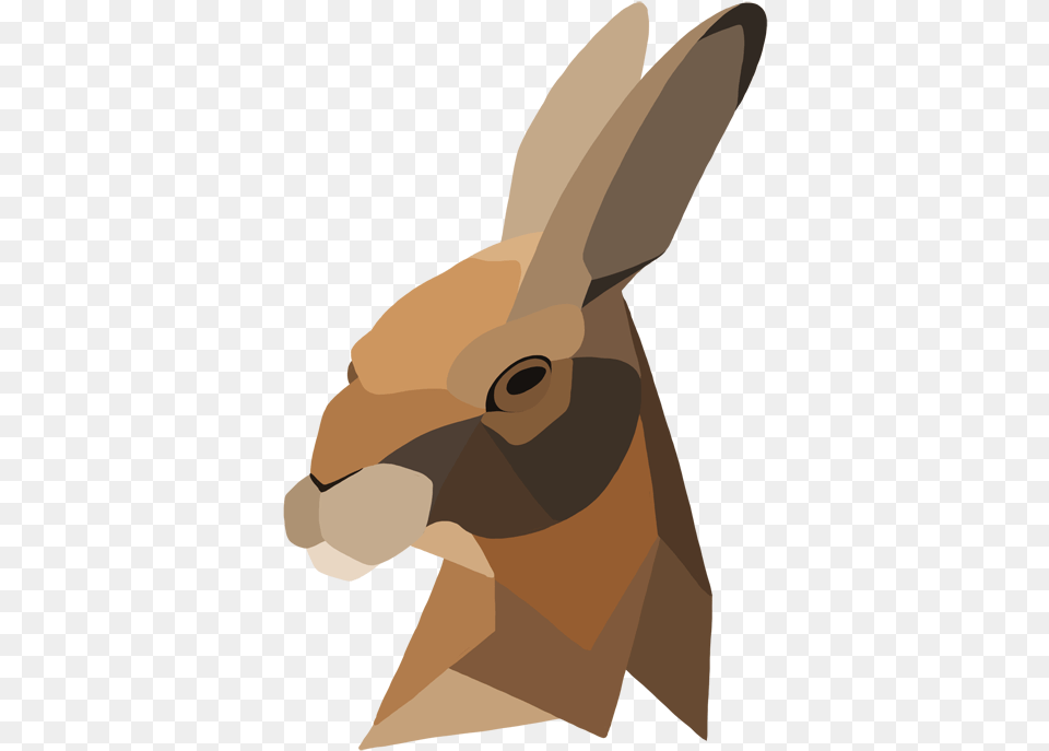 Vector Transparent Library Celtic Drawing Rabbit Geometric Hare, Animal, Mammal, Person Png
