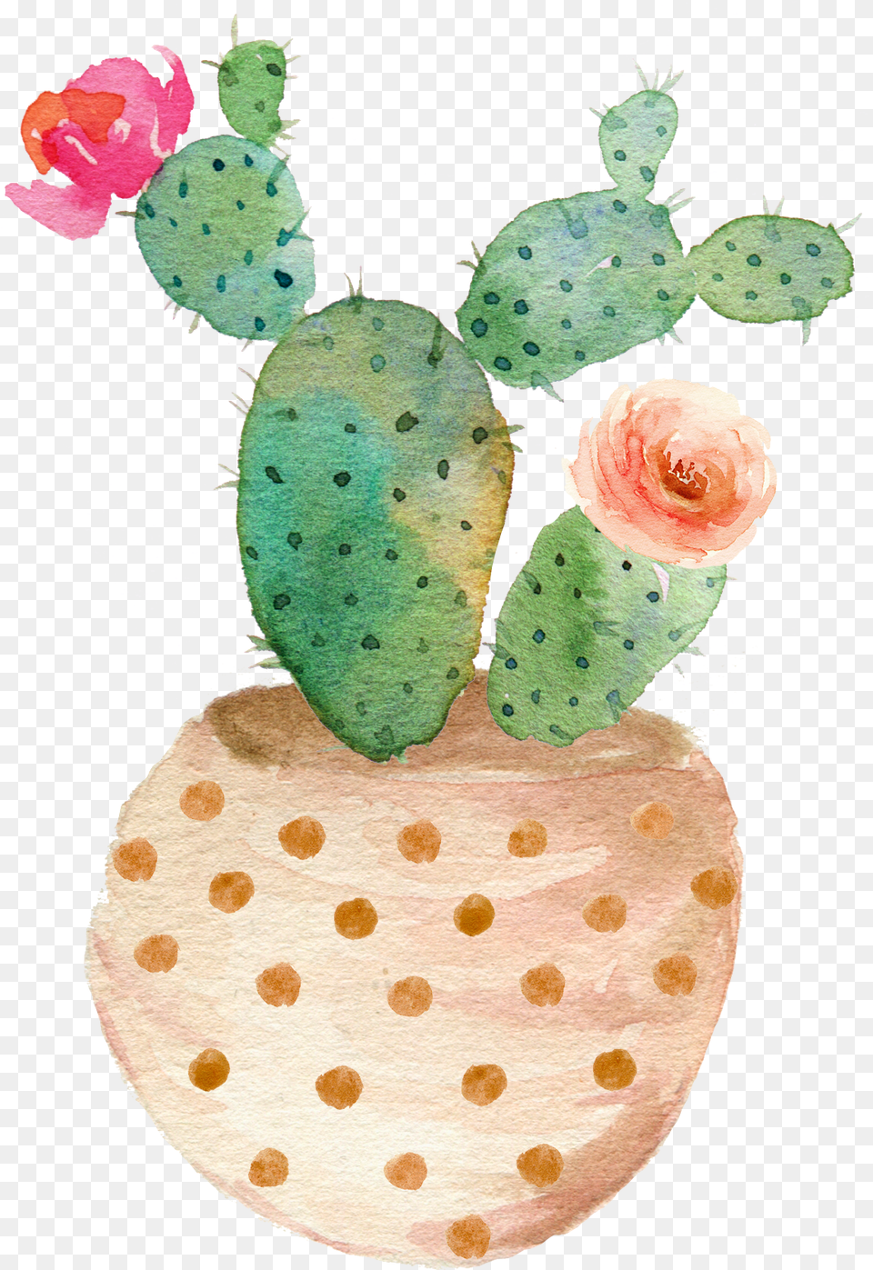 Vector Library Painting Succulent Plant, Flower, Rose, Cactus, Fungus Free Transparent Png