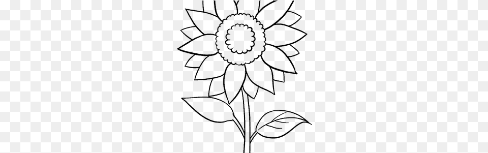 Vector Transparent Stock Berries Drawing Simple Sun Flower Black And White, Gray Png