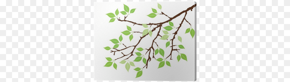 Vector Tree Branch With Leaves Canvas Print Pixers Cliparts Tree Branch, Herbs, Plant, Leaf, Herbal Free Png