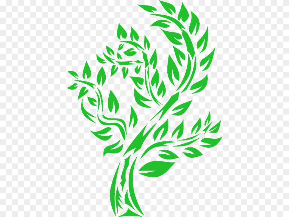 Vector Tree Foliage Green Nature Graphics Listva Vektor, Pattern, Art, Floral Design, Person Free Png