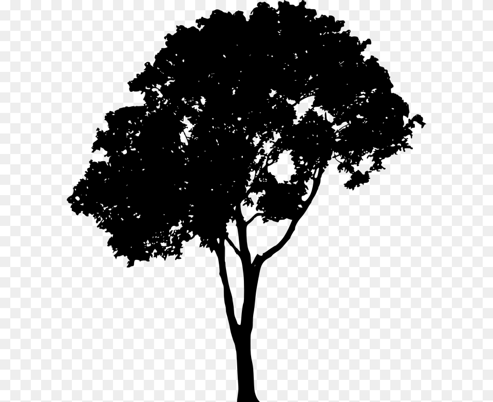 Vector Tree Tree Silhouette, Gray Free Transparent Png