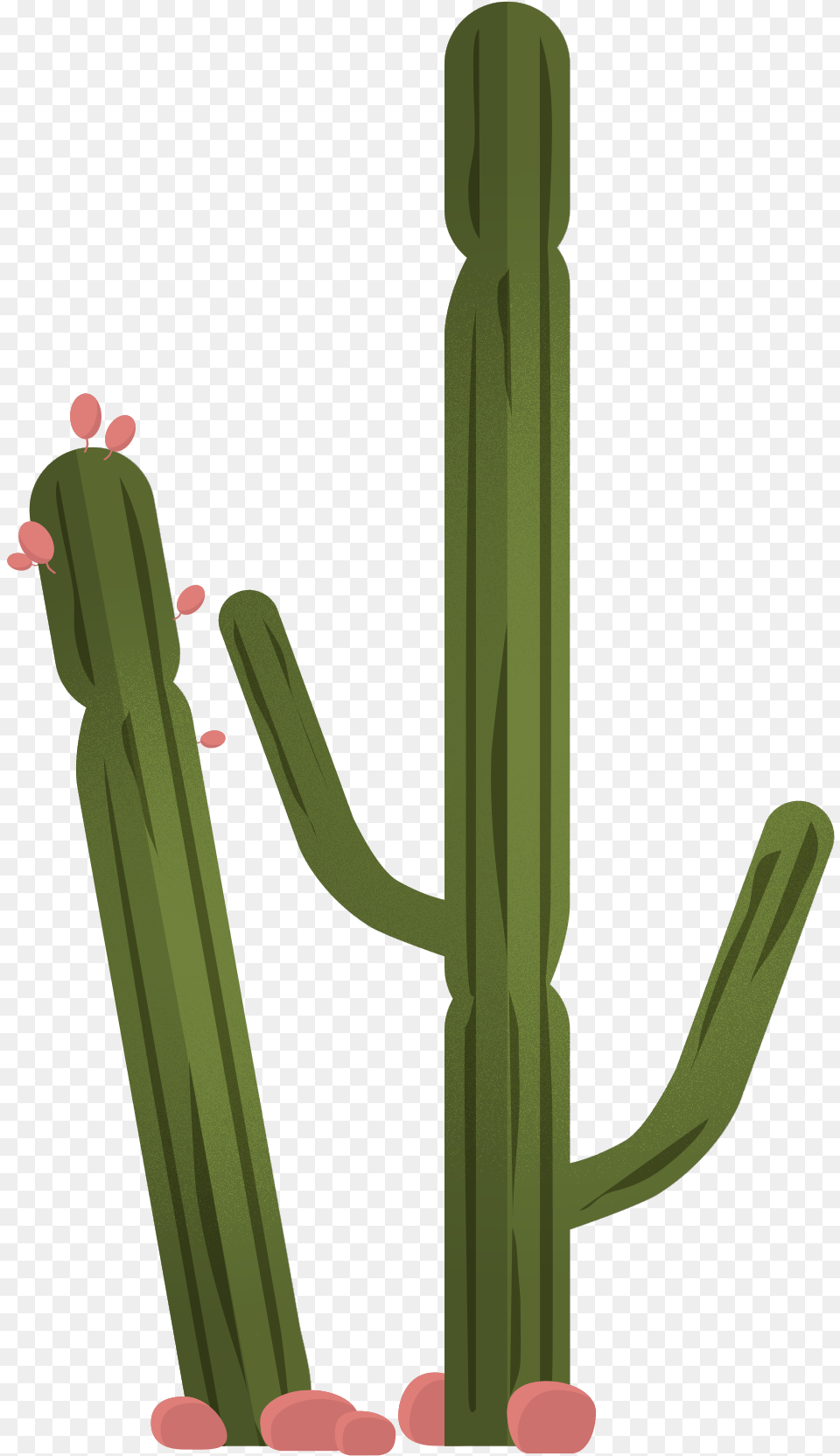 Vector Trees U0026 Exterior Plants For More Clip Art, Cactus, Plant Free Png