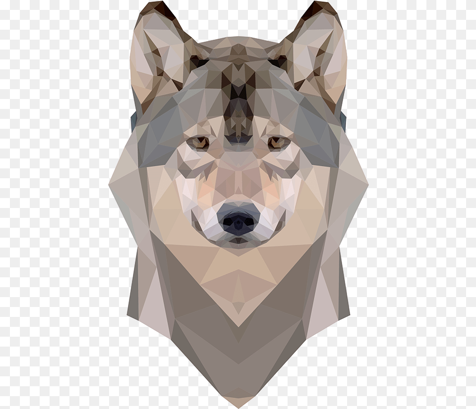 Vector Triangles Wolf Dog, Animal, Red Wolf, Pet, Person Free Transparent Png