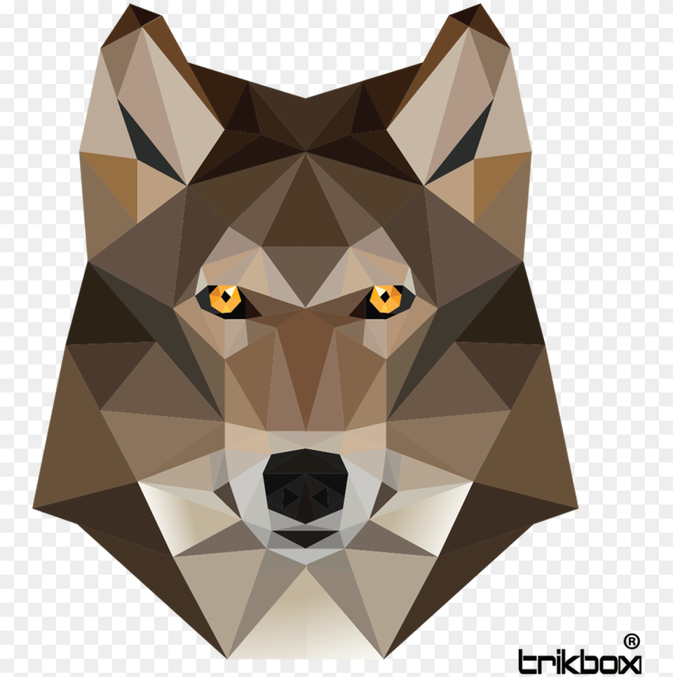 Vector Triangles Wolf Red Fox, Animal, Red Wolf, Pet, Mammal Png Image