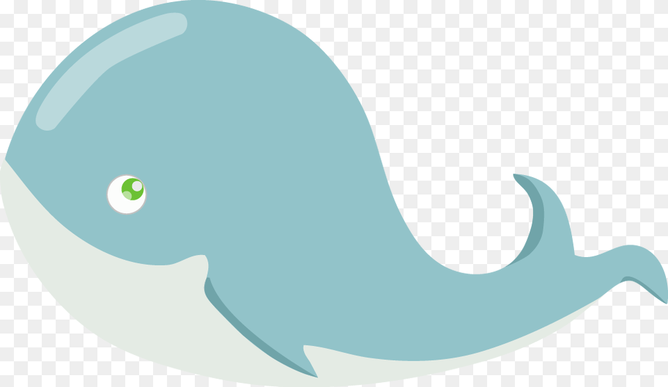 Vector Whale, Animal, Mammal, Sea Life, Dolphin Free Png