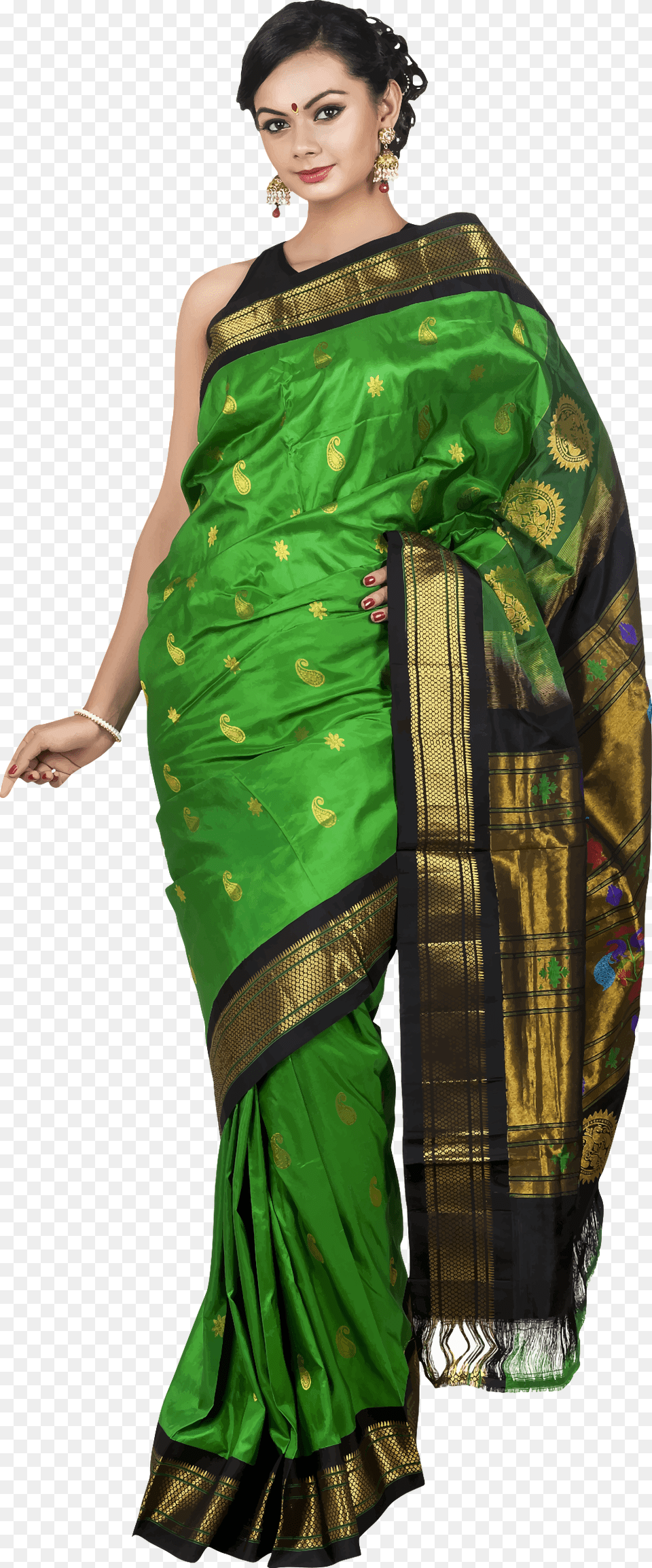 Vector Women Saree High Bun With Saree, Adult, Clothing, Female, Person Png