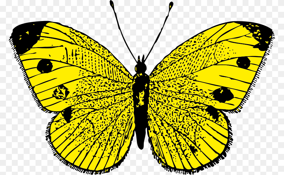 Vector Yellow Butterfly Clip Art Yellow Butterfly Clipart, Animal, Insect, Invertebrate Png