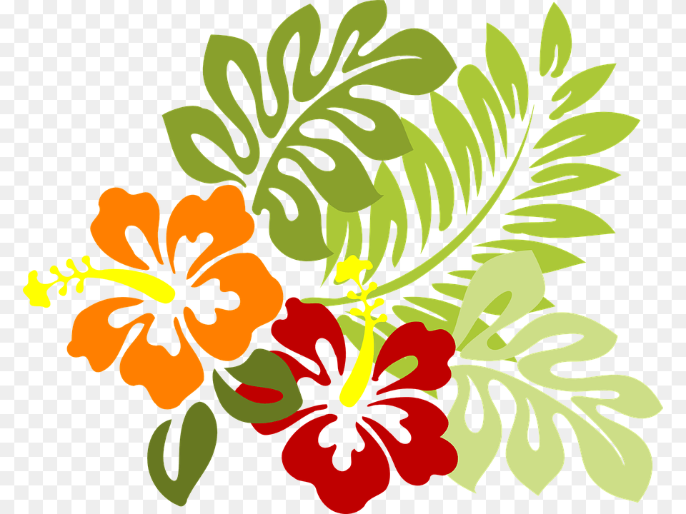 Vectores De Flores Hibiscus Clip Art, Flower, Plant, Floral Design, Graphics Png Image