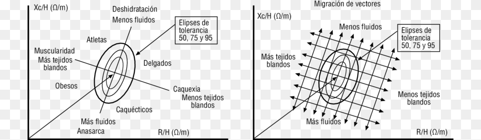 Vectores De Impedancia Y Elipses De Tolerancia Euclidean Vector, Text, Chart, Plot Free Png Download