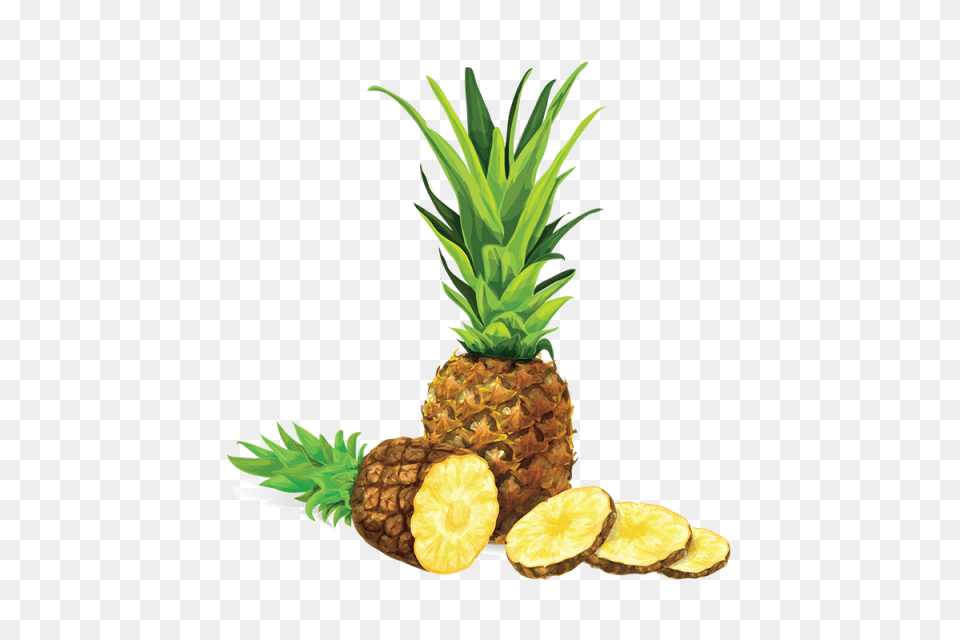 Vectorial De Ilustracion Vector, Food, Fruit, Pineapple, Plant Free Transparent Png