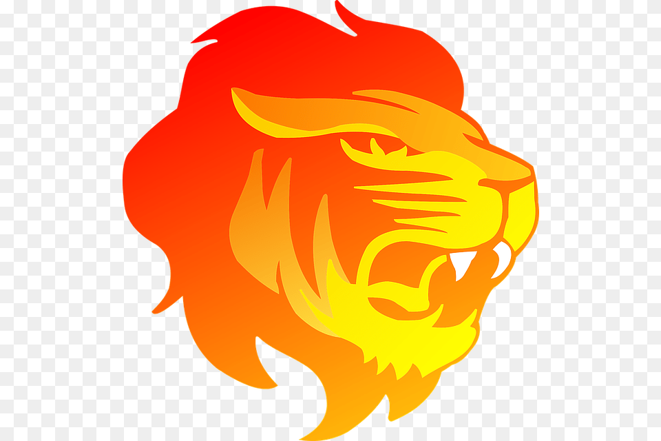 Vectorielle Gratuite Cat Color Lin Eate Lion Lion Head Lion Clipart, Animal, Mammal, Wildlife, Fire Free Png Download
