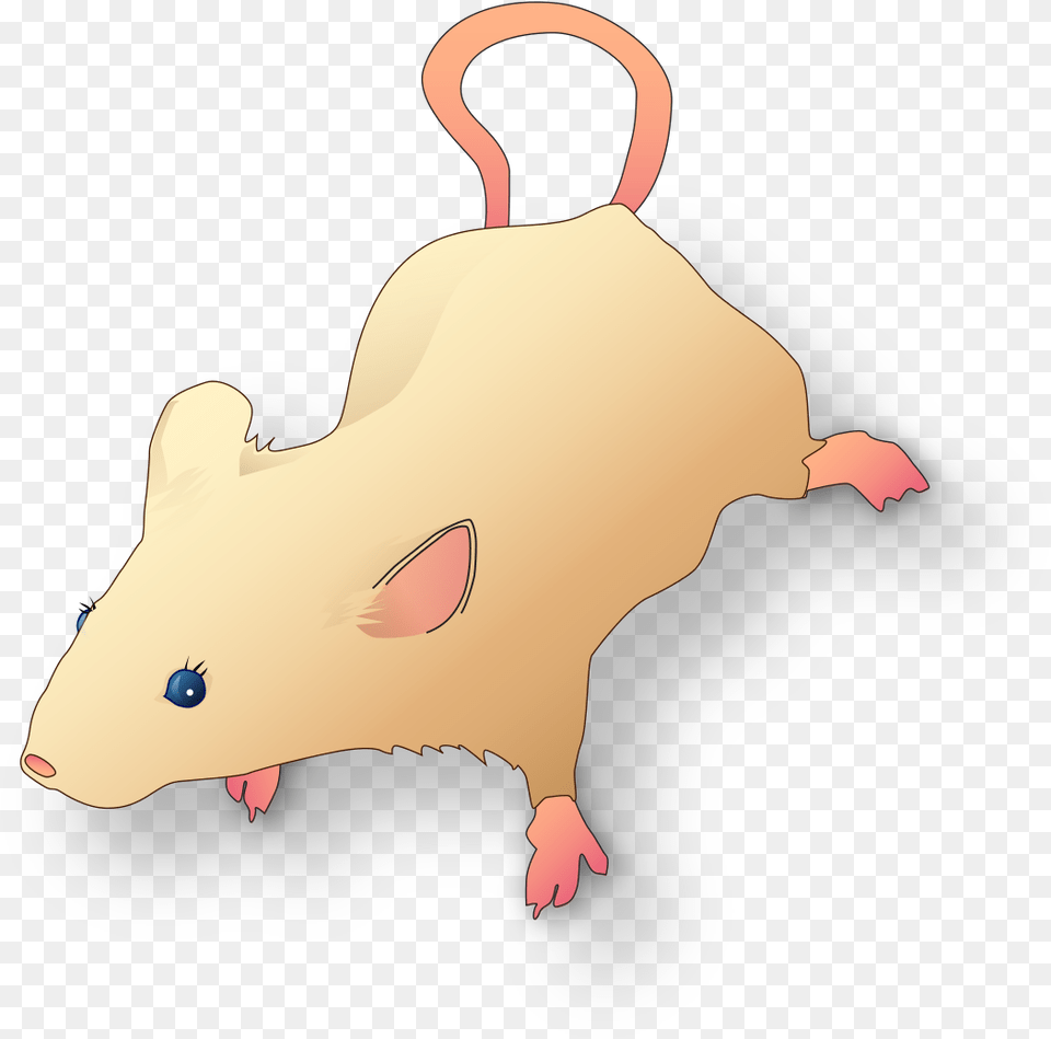 Vectorized Lab Mouse Mg 3263 For Scientific Figures Scientific Mouse, Animal, Mammal, Baby, Person Free Png