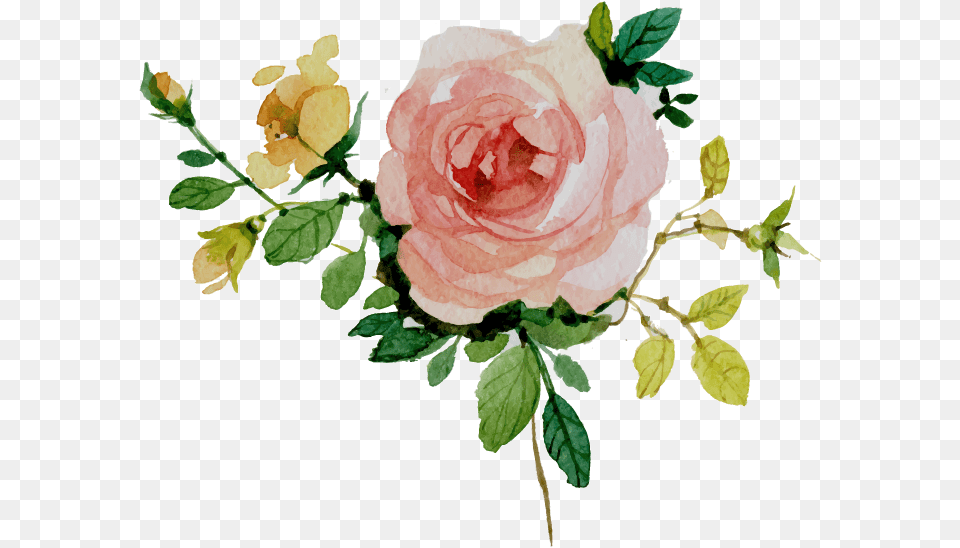 Vectors Watercolor Border Flowers, Flower, Plant, Rose, Art Free Png Download