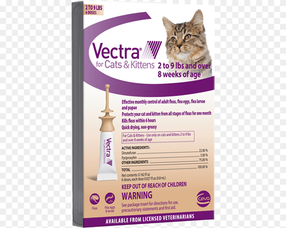 Vectra For Cats, Advertisement, Poster, Animal, Cat Free Transparent Png