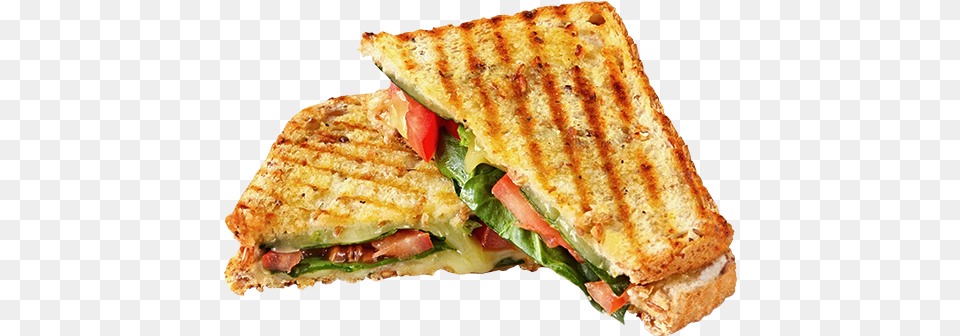 Veg Delight Sandwich Burger And Sandwich, Food Png Image