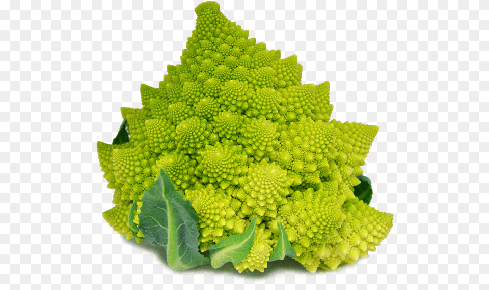 Vega Romanesco Broccoli Broccoflower, Food, Produce, Cauliflower, Plant Free Transparent Png