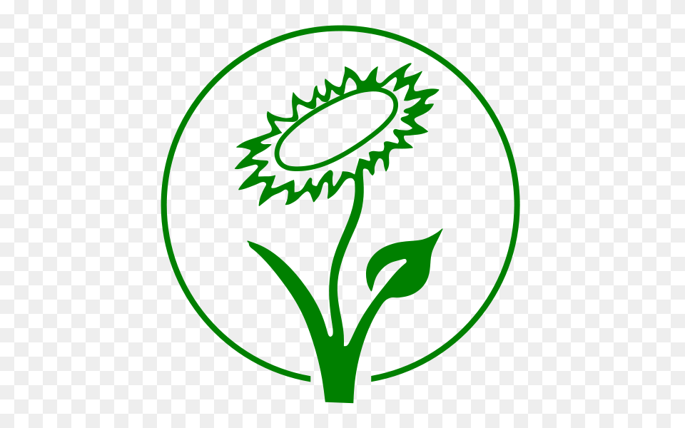 Vegan, Flower, Green, Plant, Herbal Free Png