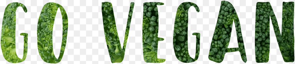 Vegan, Plant, Vegetation, Asparagus, Food Free Png