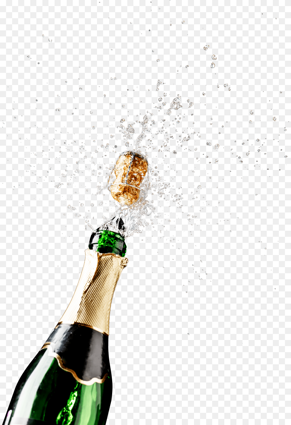 Vegan Catering Food Champagne, Bottle, Animal, Insect, Invertebrate Png