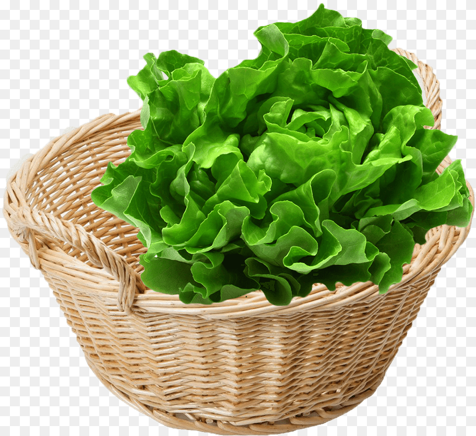 Vegan Cruelty To Vegetables, Food, Lettuce, Plant, Produce Free Png Download
