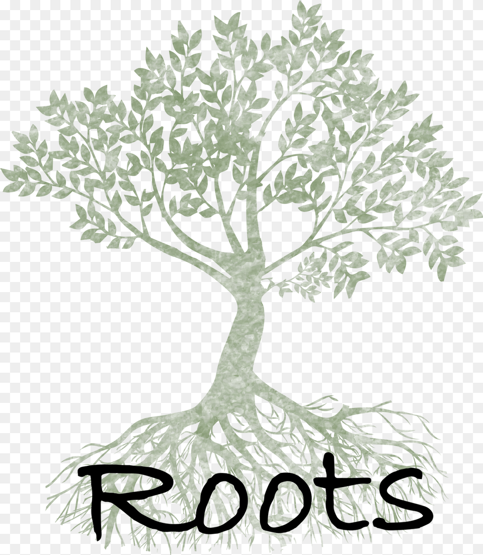 Vegan Organic Bioavailable Skincare Roots Handmade Drawing, Plant, Tree, Root, Potted Plant Free Transparent Png
