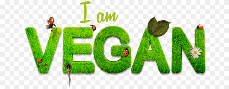 Vegan Psd Healthy Setting Way Of Life Nutr Am Vegan, Green, Ball, Sport, Tennis Png