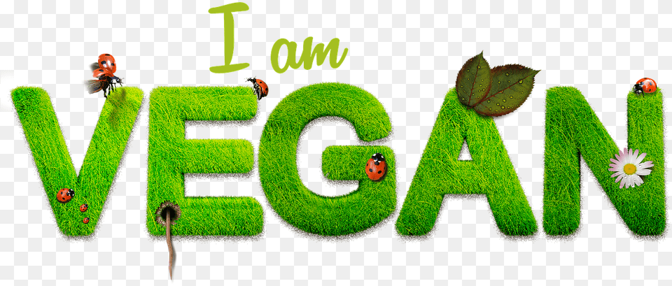 Vegan Psd Healthy Setting Way Of Life Nutrition Art, Green, Text, Toy, Grass Png