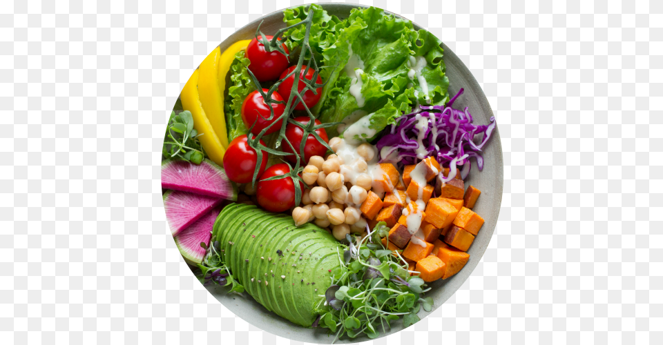 Vegen Vegetarian Nutritionist Vegatariano E Intestino, Food, Food Presentation, Meal, Dish Png Image