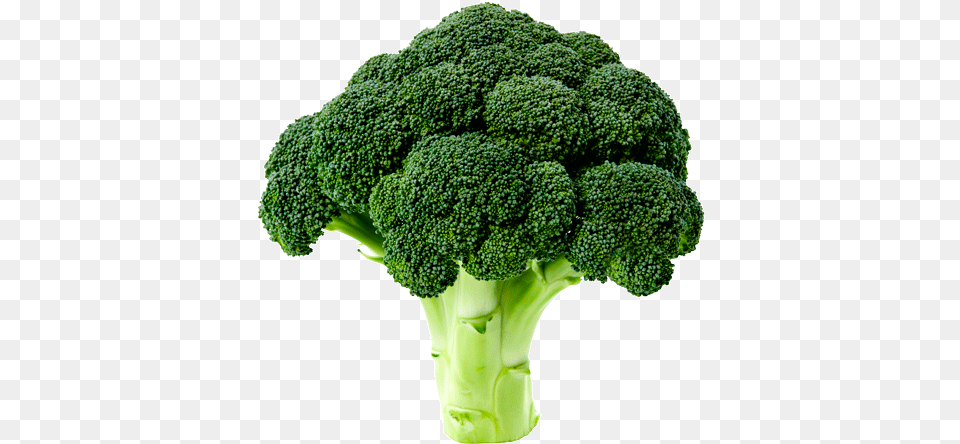 Vegetable, Broccoli, Food, Plant, Produce Png