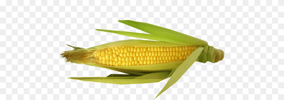 Vegetable Corn, Food, Grain, Plant Png Image