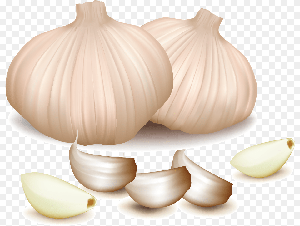 Vegetable, Food, Produce, Garlic, Plant Free Transparent Png