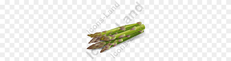 Vegetable Asparagus Icon Pngico Icons, Food, Plant, Produce, Dynamite Png Image