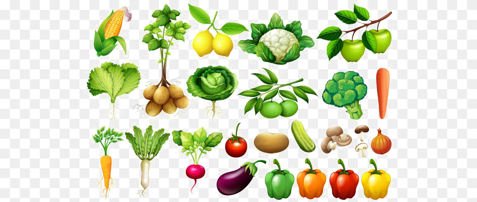 Vegetable Background Transparent Background Vegetables, Citrus Fruit, Food, Fruit, Plant Png Image