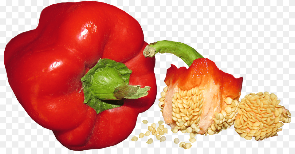 Vegetable Capsicum Seed Food Healthy Cooking Capsicum Seed, Bell Pepper, Pepper, Plant, Produce Free Png