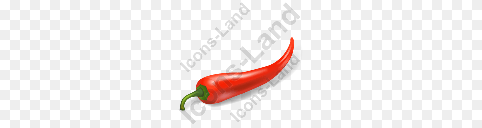 Vegetable Chili Pepper Red Icon Pngico Icons, Dynamite, Food, Plant, Produce Free Png